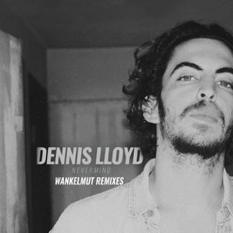 Nevermind (Wankelmut Remix) by Dennis Lloyd 