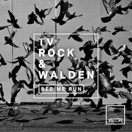 See Me Run (Radio Edit) by Tv Rock &amp; Walden 