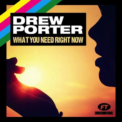 What You Need Right Now (Bassmonkeys Radio Mix) by Drew Porter 