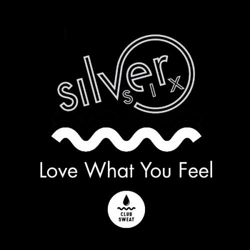 Love What You Feel (Radio Edit) by Silversix 