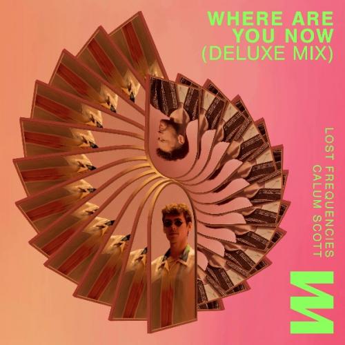 Where Are You Now (Deluxe Mix) by Lost Frequencies &amp; Calum Scott