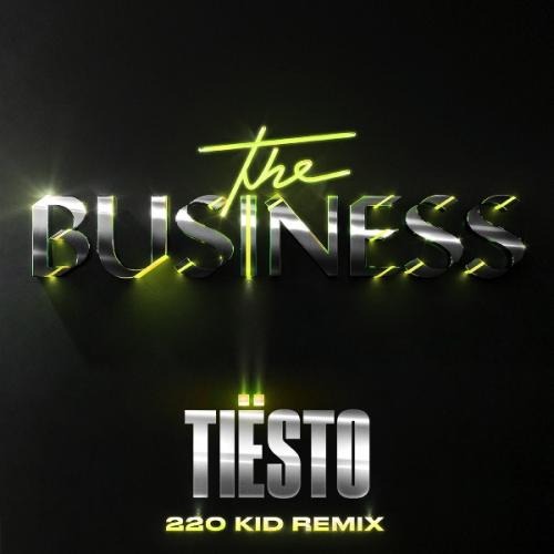 The Business (220 KID Remix) by Tiësto 