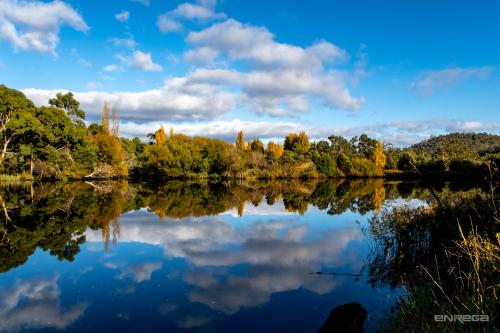 Derwent River Reflections
